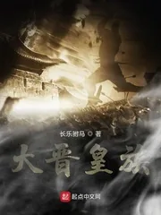 《大晋皇族》小说封面