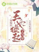 《替嫁后王妃捡起了马甲》小说封面