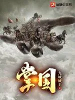 《掌国》小说封面