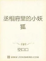 《丞相府里的小妖狐》小说封面