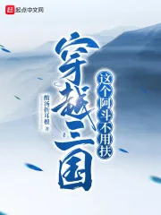《穿越三国：这个阿斗不用扶》小说封面