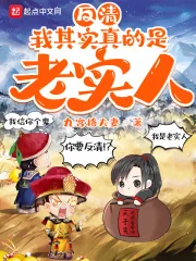 《反清：我其实真的是老实人》小说封面