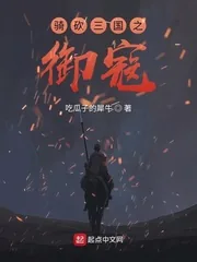 《骑砍三国之御寇》小说封面