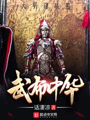 《武布中华》小说封面