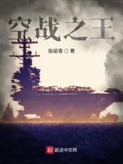 《空战之王》小说封面