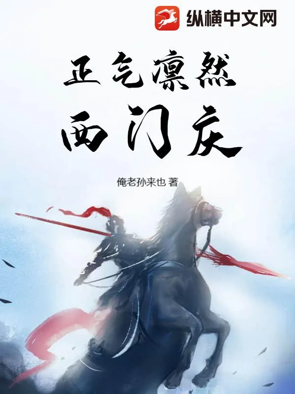 《正气凛然西门庆》小说封面