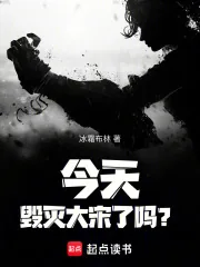 《今天毁灭大宋了吗?》小说封面