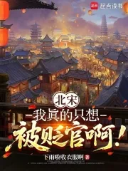 《北宋：我真的只想被贬官啊！》小说封面