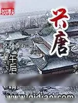 《兴唐》小说封面