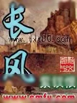 《长风》小说封面