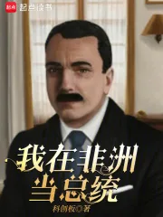《我在非洲当总统》小说封面