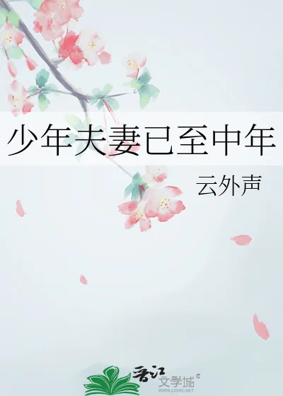 《少年夫妻已至中年》小说封面