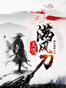《大雪满风刀》小说封面