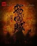 《窃国贼》小说封面