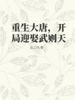 《重生大唐，开局迎娶武则天》小说封面