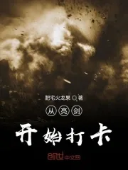 《从亮剑开始打卡》小说封面