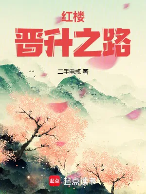 《红楼晋升之路》小说封面