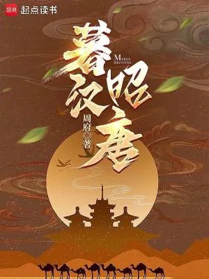 《暮汉昭唐》小说封面