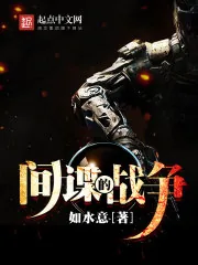 《间谍的战争》小说封面