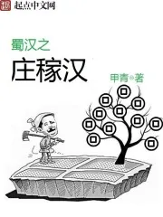 《蜀汉之庄稼汉》小说封面
