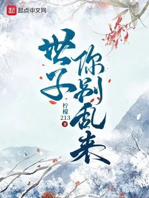 《世子你别乱来》小说封面