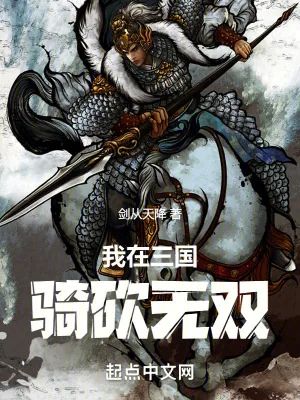 《我在三国骑砍无双》小说封面