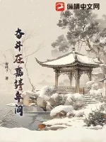 《奋斗在嘉靖年间》小说封面