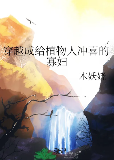 《穿成给植物人冲喜的寡妇》小说封面