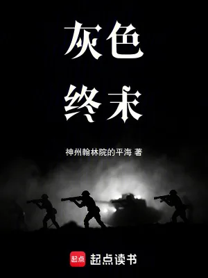 《灰色终末》小说封面