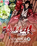 《醉迷红楼》小说封面