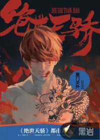 《红楼之庶子风流》小说封面