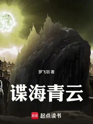 《谍海青云》小说封面