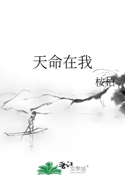 《天命在我》小说封面