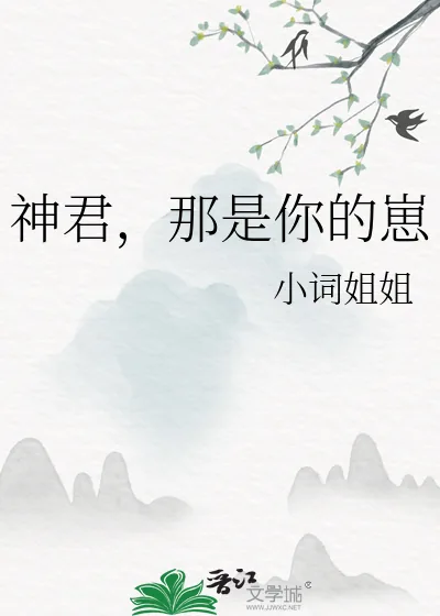 《神君,那是你的崽》小说封面