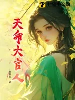《天命大官人》小说封面