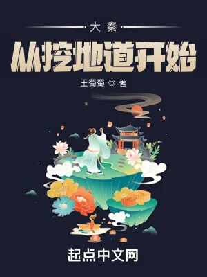 《大秦从挖地道开始》小说封面