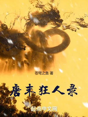 《唐末狂人录》小说封面