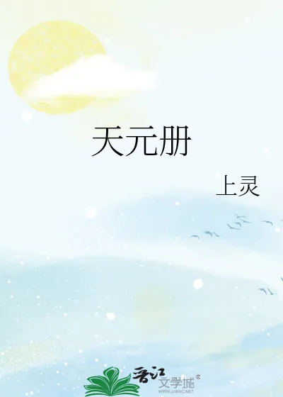 《天元册》小说封面