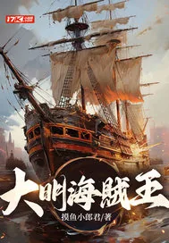 《大明海賊王》小说封面