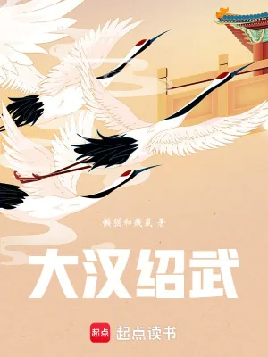 《大汉绍武》小说封面