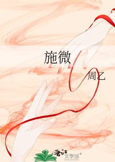 《施微》小说封面