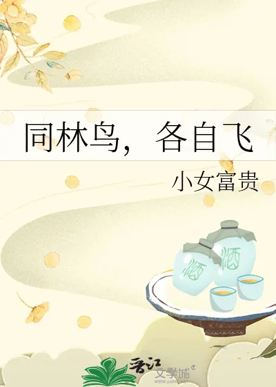 《同林鸟,各自飞》小说封面