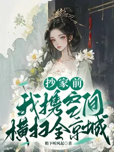 《抄家前，我携空间横扫全京城》小说封面