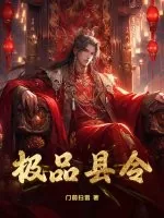 《极品县令》小说封面