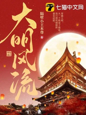 《大明风流》小说封面