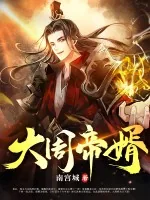 《大周帝婿》小说封面