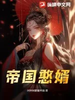 《帝国憨婿》小说封面