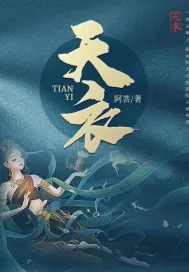 《天衣》小说封面