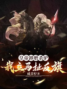 《皇帝卸磨杀驴，我立马扯反旗》小说封面