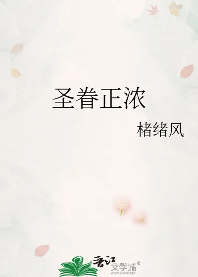 《圣眷正浓》小说封面